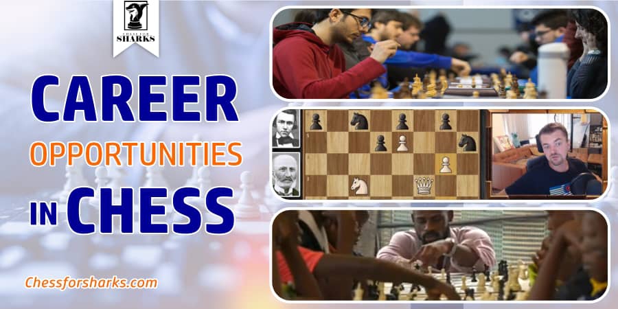 Top 10 Exciting Careers In Chess To Earn Cool Cash