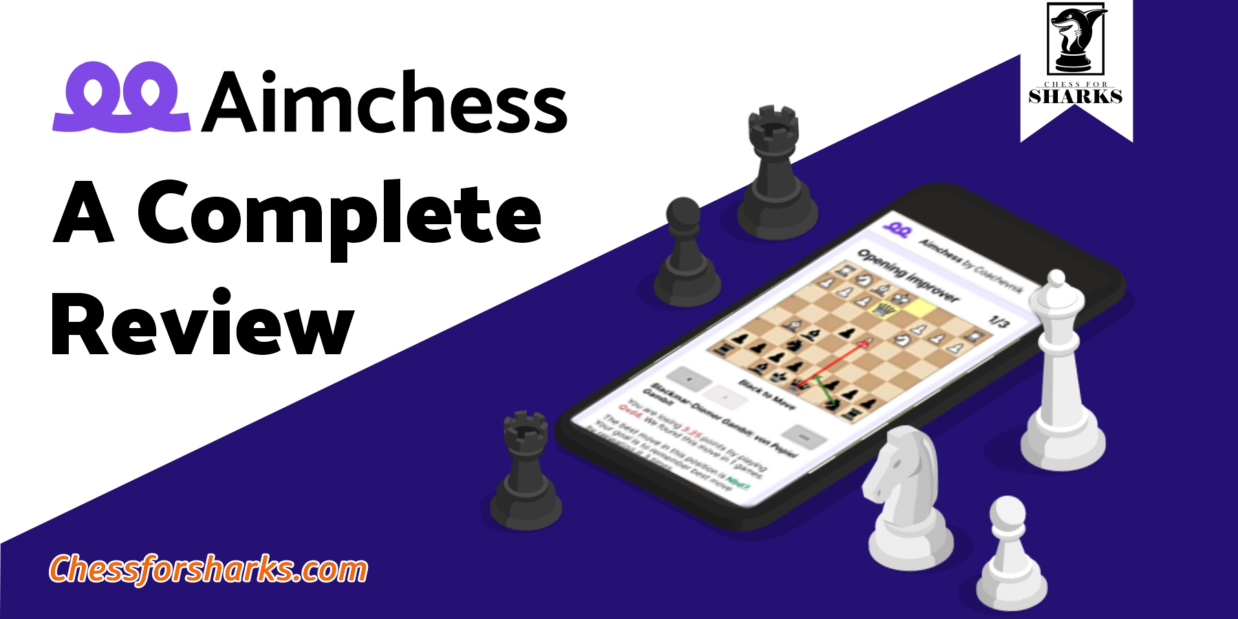 A Complete Aimchess Review: Unique Tool That Helps You Improve Your Chess!