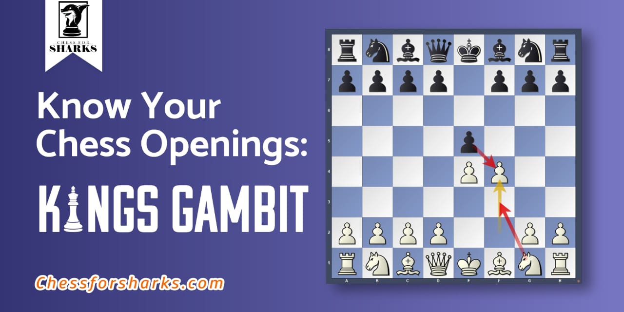 Know Your Chess Openings: The King’s Gambit