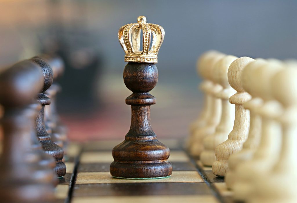 Can a King Check another King in Chess?