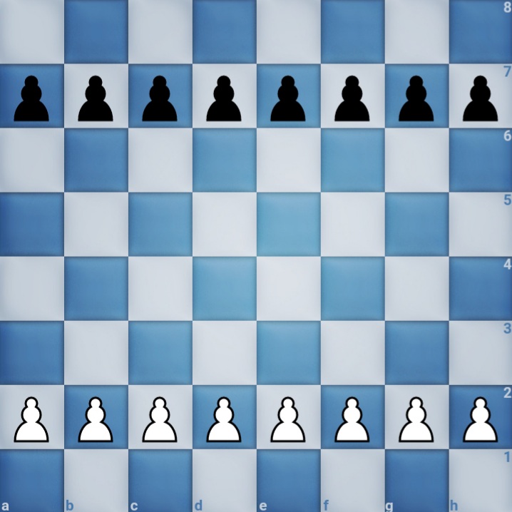 Chess Board Layout 